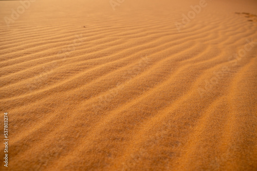 ripples in the sand © Rodrigo