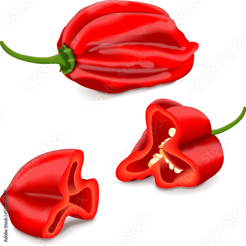 Whole and quarter of red habanero chili peppers. Capsicum chinense. Hot chili pepper. Fresh organic vegetables. Vector illustration isolated on white background.