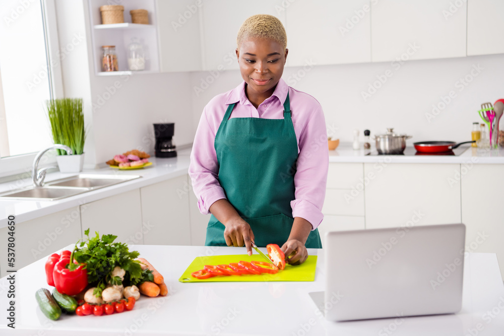 Photo of charming nice girl hold knife cut paprika slices chopping board look wireless netbook indoors Photo of charming nice girl hold knife cut paprika slices chopping board look wireless netbook indoors