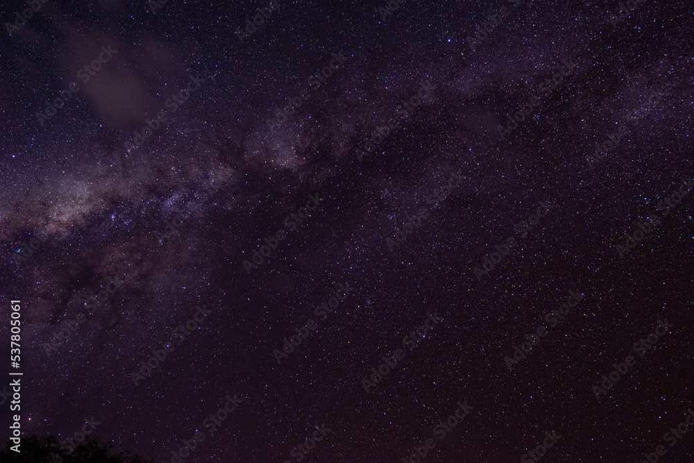 night photo with milky way in the starry purple sky