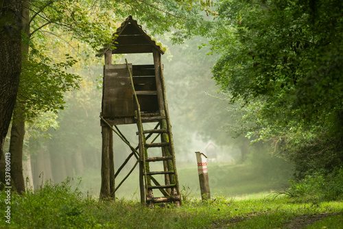 Hunting tower in the forest photo