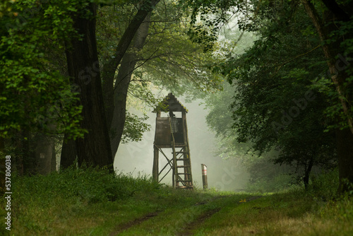 Hunting tower in the forest