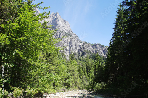 A path through Berchtesgaden National park from Ramsau to Weissbach bei Lofer	