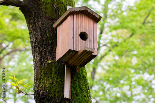 close-up Bird house on a tree. Wooden birdhouse, nesting box for songbirds in park.