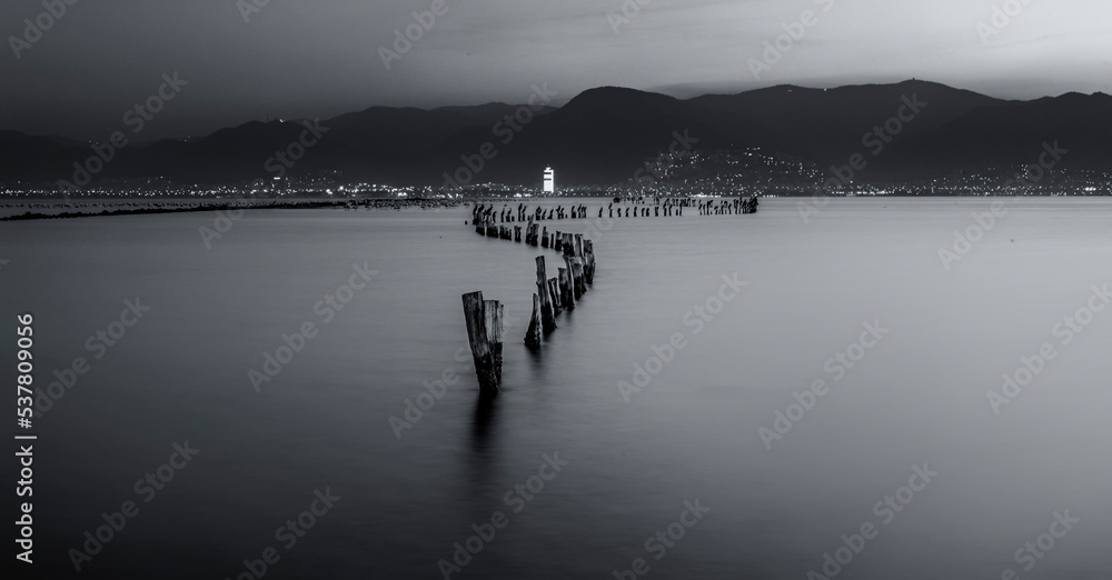 ruins of pier on water black and white