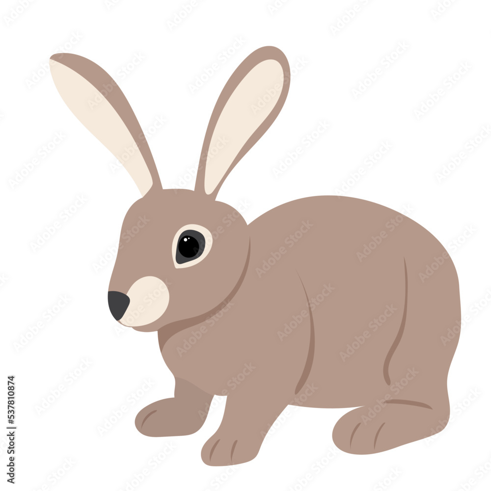 Obraz premium rabbit, hare on white background, isolated vector