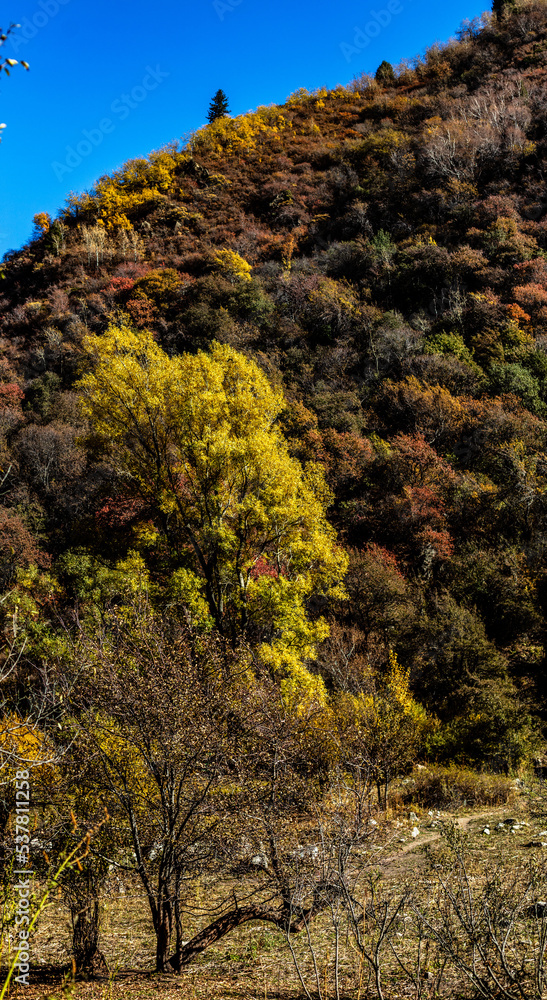 autumn in the mountain