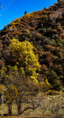 autumn in the mountain