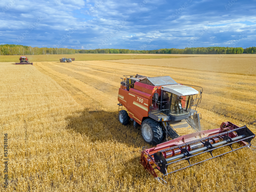 Fototapeta premium Harvest wheat grain and crop aerial view.Harvesting wheat,oats, barley in fields,ranches and farmlands.Combines mow in the field.Agro-industry.Combine Harvester Cutting on wheat filed.Machine harvest