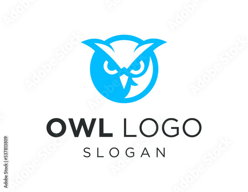 Logo about owl on white background. created using the CorelDraw application.