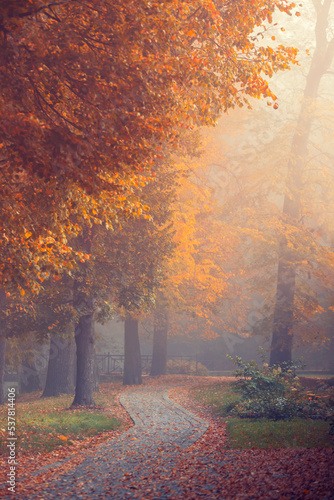 Krajobraz jesienny. Poranek w parku, mgła