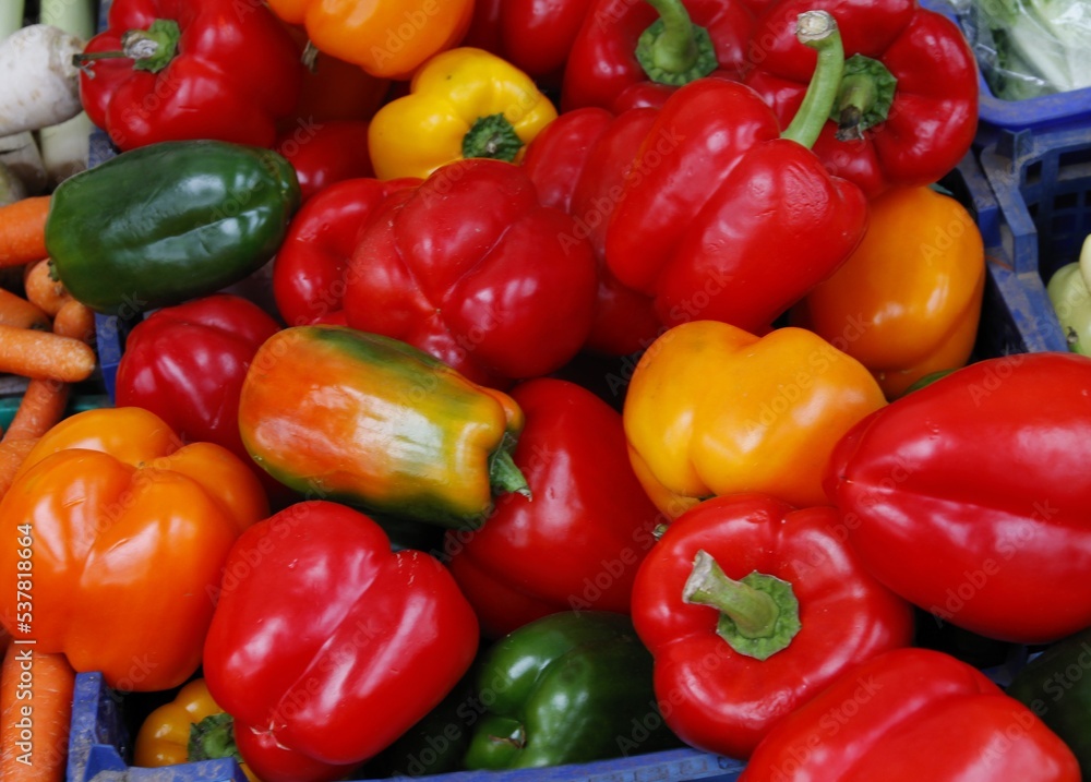 various multicolor peppers as tasty vegetable with vitamins various multicolor peppers as tasty vegetable with vitamins