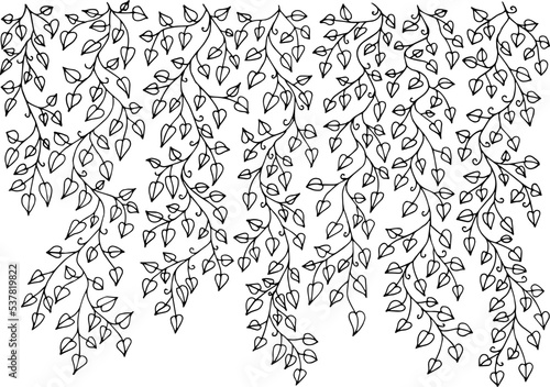 Ivy vine silhouette isolated on white background. Vine plant. Black hanging vine with leaves. Spring or nature plant design. Flat leaves hanging down. Floral pattern. Stock vector illustration