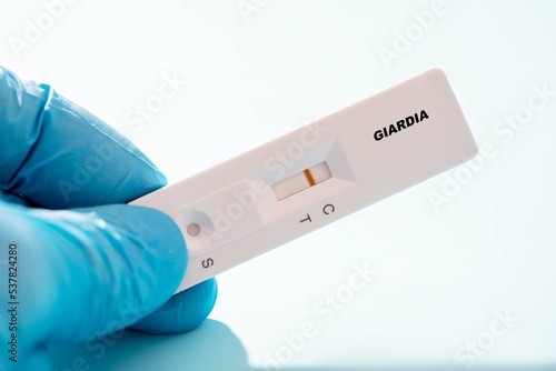 Giardia  Rapid Test Cassette in doctor hand photo