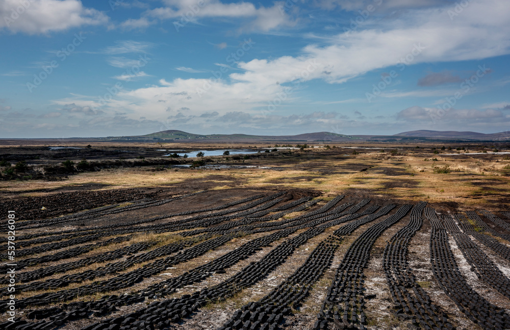 Machine-cut turf is drying in the vast landscape of north-west Ireland. Machine-cut turf is drying in the vast landscape of north-west Ireland.