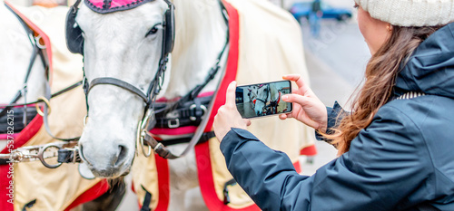 Photography Close up of a tourist taking pictures of Horses for drawn carriage or Fiaker, popular tourist attraction