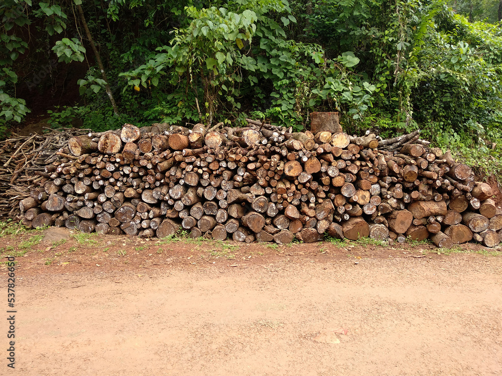 Pile of mixed sized wood logs used for domestic purposes in rural India