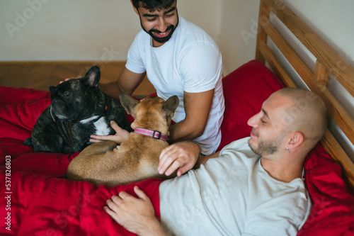 Young interracial gay couple playing with dogs in bedroom. Homosexual men, Caucasian and Mixed race, relaxing in red bed with pets. LGBTQ concept