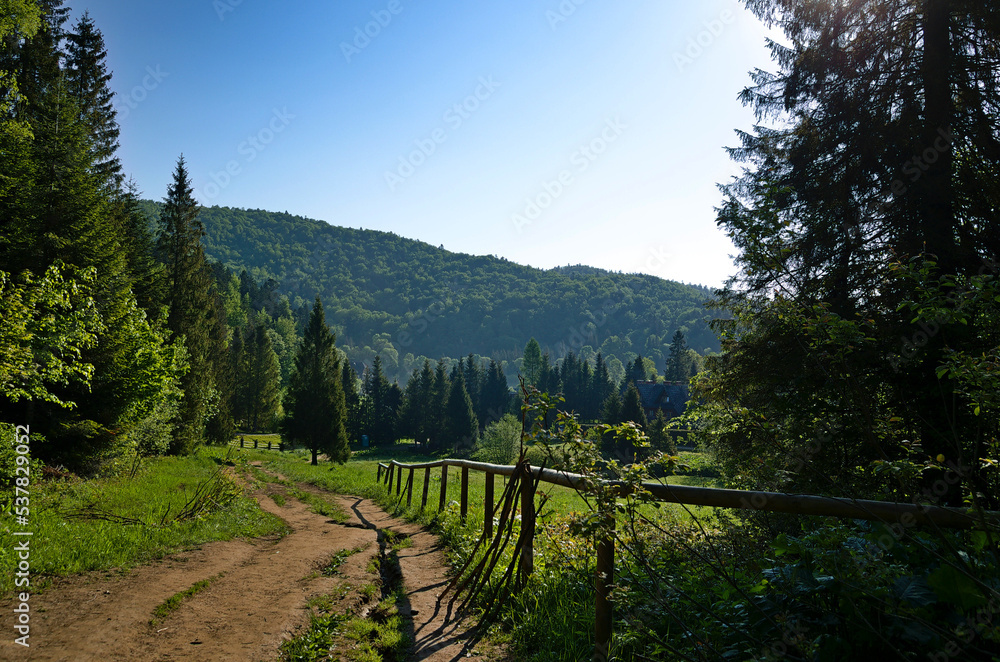 Entering the Bieszczady trail in the spring.