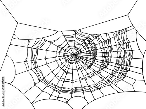 Halloween party background with spiderwebs isolated png or transparent texture,blank space for text,element template for poster,brochures, online advertising,vector illustration