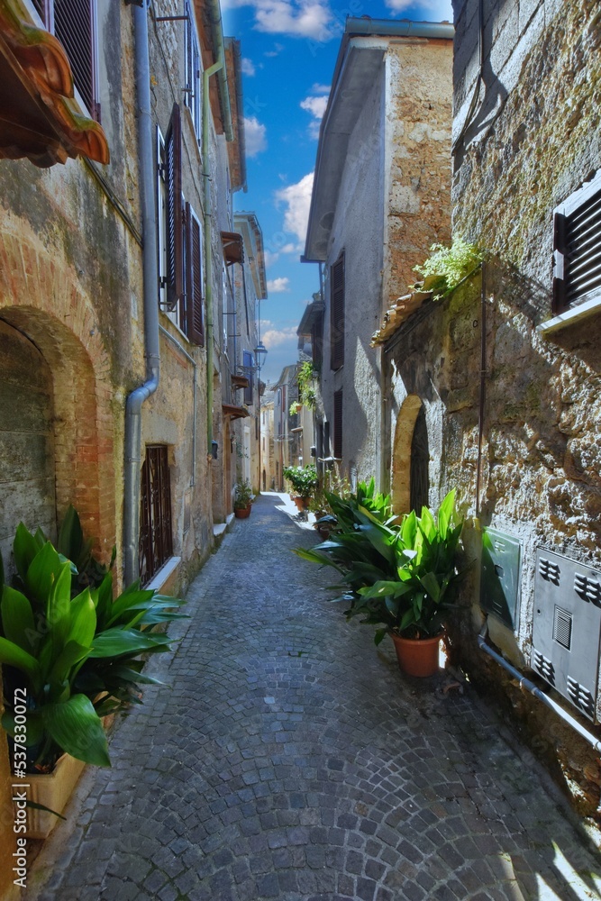 A narrow street between the old stone houses of Collepardo, a medieval village in the Lazio region of Italy.