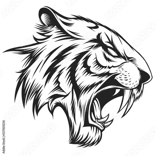 head of a tiger