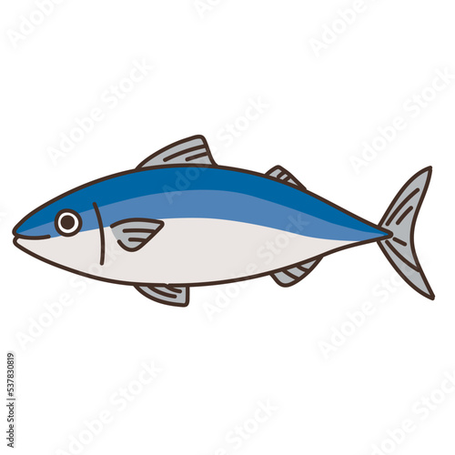 魚　魚介類　水産　海　食べ物