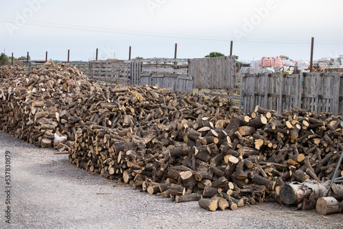 Pile of firewood and wood