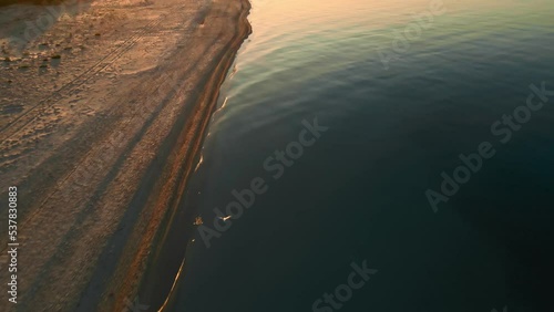 epic cinematic aerial drone shot of gull flight above sea coast with sand beach at sunrise. anazing bird in wild nature photo