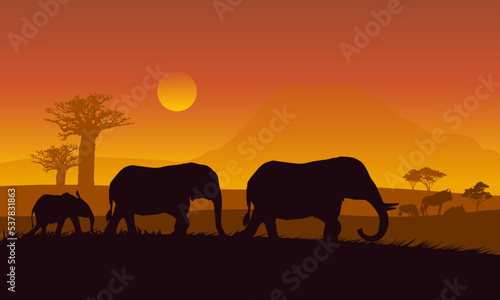 elephants at sunset © pla2u