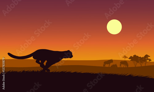 silhouette of a cheetah running in sunset