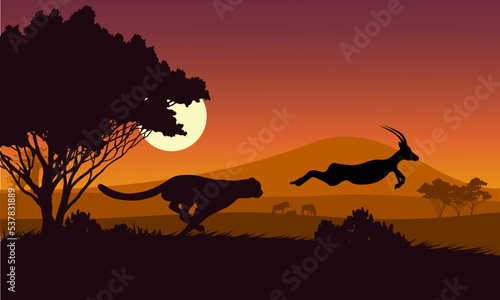 The cheetah is chasing the impala. © pla2u