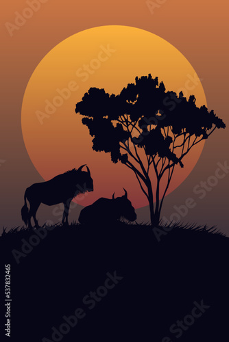 silhouette of a horse in the sunset © pla2u