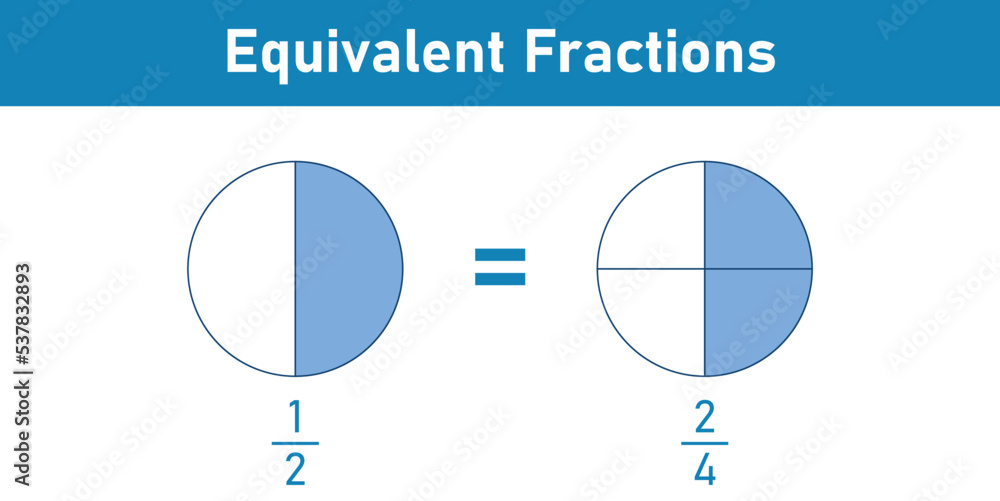 Equivalent fractions one half explained in mathematics. Vector illustration isolated on white