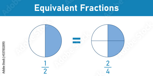 Equivalent fractions one half explained in mathematics. Vector illustration isolated on white background.