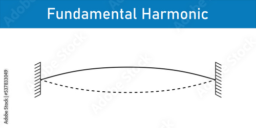 harmonics of vibrations of a stretched string fixed at both ends. Scientific vector illustration isolated on white background.