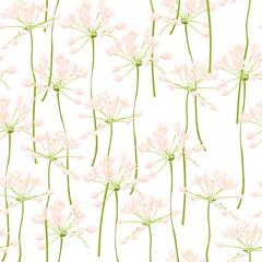 Acrylglasbilder Küchenmuster Wilder Knoblauch mit Wiesenblumen botanisch  © cat_arch_angel