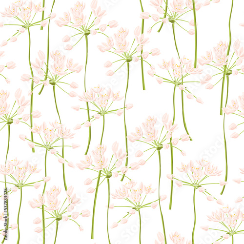 seamless pattern with neapolitan garlic, field flowers, vector drawing wild plants at white background, flowering meadow , hand drawn botanical illustration