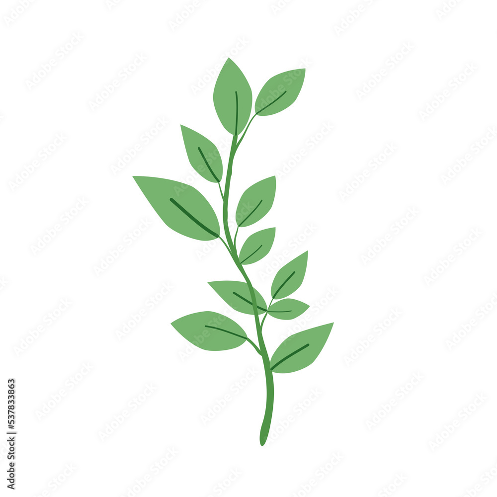 Fototapeta premium Green leaf isolated on white background. illustration. PNG clipart.