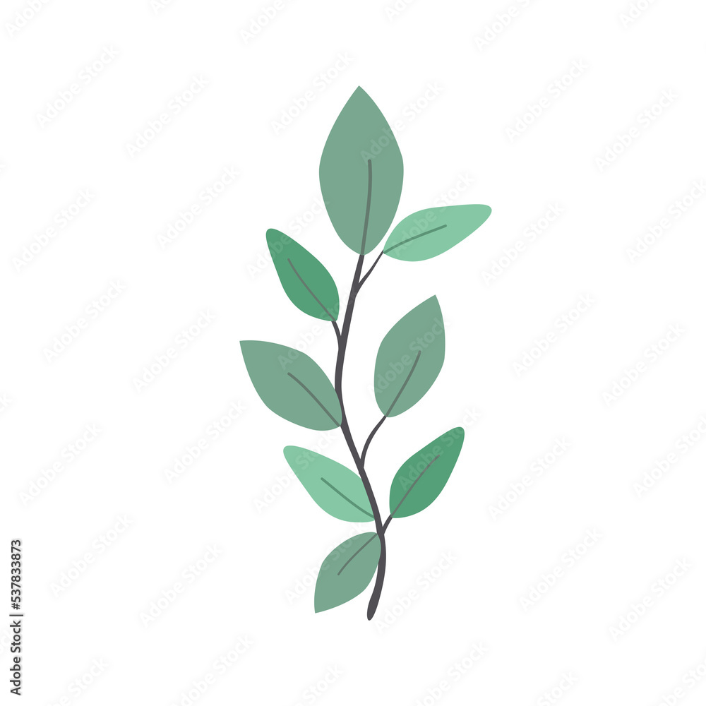 Green leaf isolated on white background.  illustration. PNG clipart.