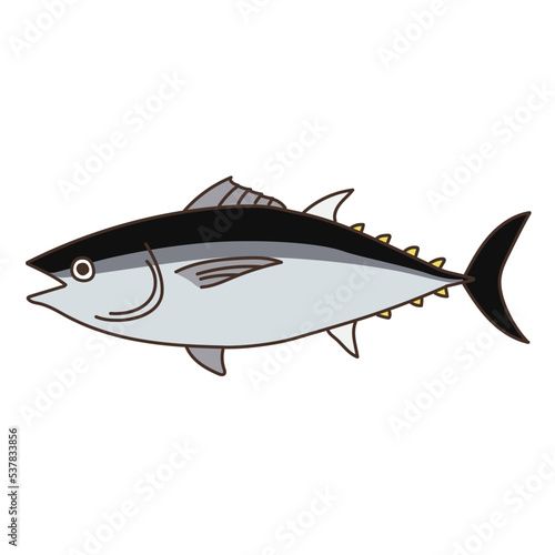 魚　水産物　魚介類　食べ物　まぐろ　