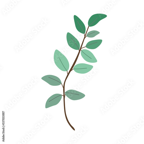 Green leaf isolated on white background. illustration. PNG clipart.