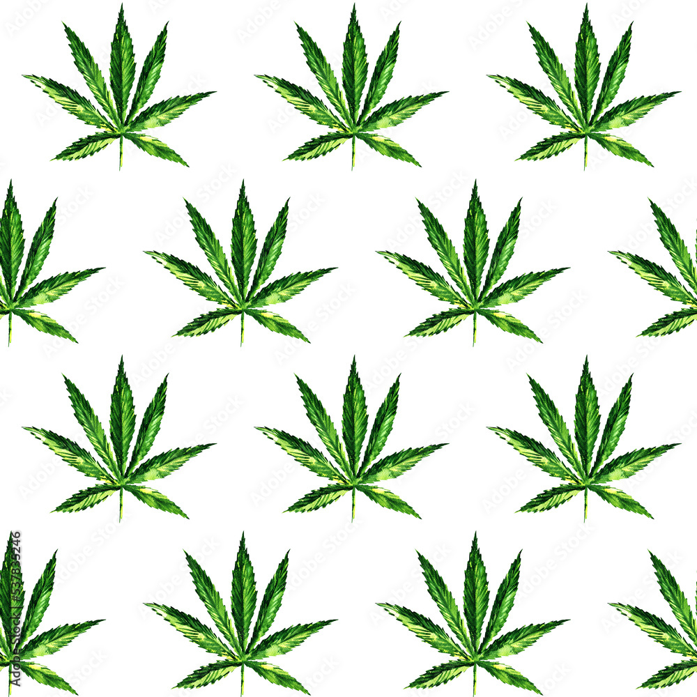 Green marijuana leaf seamless pattern, Cannabis leaf drug herb. Hand drawn watercolor illustration on white background