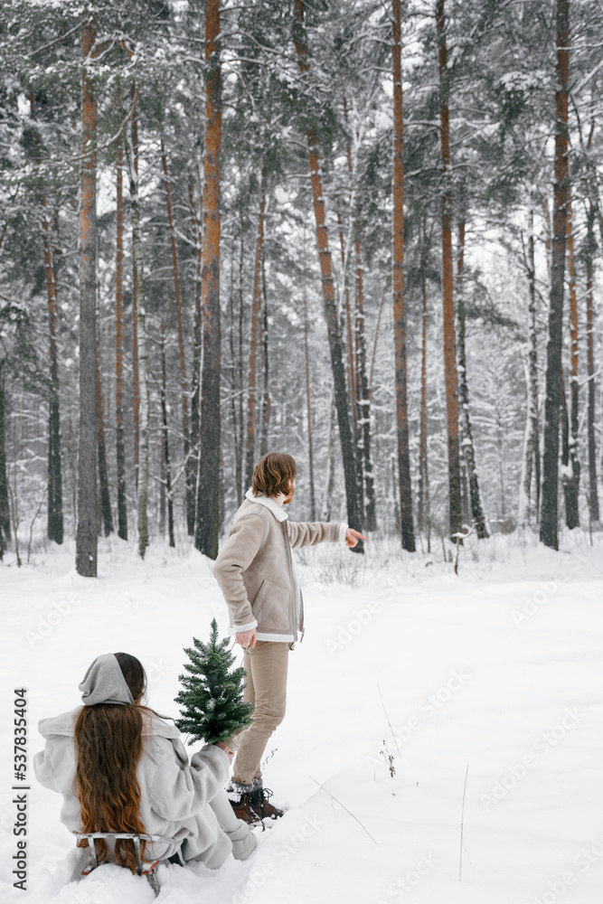 Sledging love romantic young couple girl,guy in snowy winter forest with christmas tree, sled.Walking with sleigh in stylish clothes, fur coat,jacket,woolen shawl.Snow lovestory.Romantic date,weekend