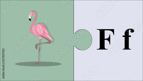 Letter in F, Alphabet puzzle, spelling pictures, learning the alphabet, flashcards for learning the alphabet, education for children, early education for children, materials for kindergarten