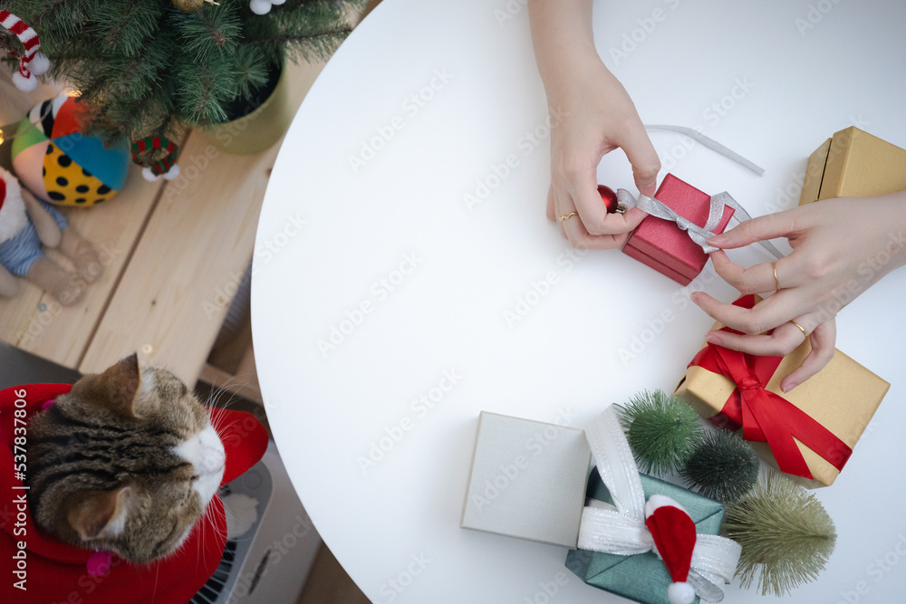 Obraz premium flat lay woman hand decorate christmas tree and new year gift box and play with her cat