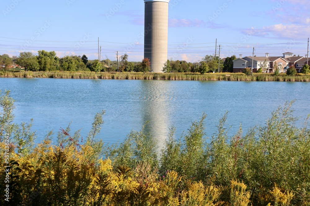 A view of the lake over the tall grass on a sunny day. A view of the lake over the tall grass on a sunny day.