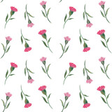 watercolor seamless pattern with meadow wild flowers, pink carnations. For decoration and design. Printing on postcards, paper, packaging, fabric. Wedding, romantic, natural style. Spring, summer.