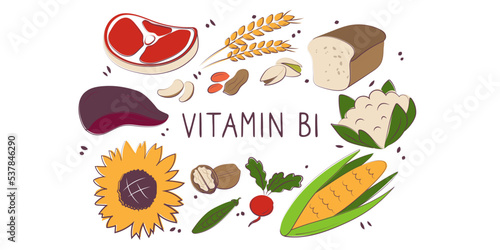 Vitamin B1 Thiamin . Groups of healthy products containing vitamins. Set of fruits, vegetables, meats, fish and dairy