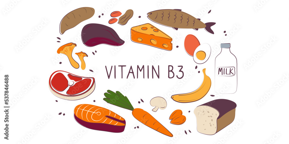 Vitamin B3 Niacinamide Vitamin PP niacin Nicotinamide. Groups of healthy products containing vitamins. Set of fruits, vegetables, meats, fish and dairy